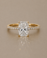 The Destin - 2ct radiant cut with 1/2 pavé band