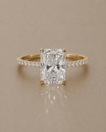 The Destin - 3ct radiant cut with 1/2 pavé band