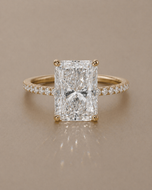 The Destin - 4ct radiant cut with 1/2 pavé band